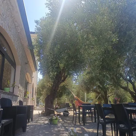 Petrus Cilento Bed and breakfast 3*
