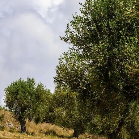 Oasi Petrus Cilento Holiday home *