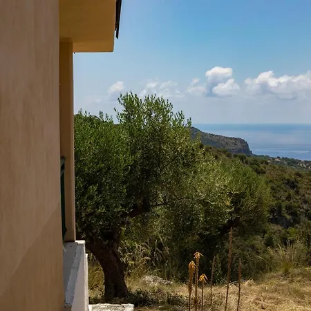 Oasi Petrus Cilento